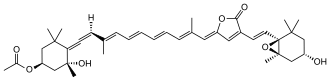 Skeletal formula