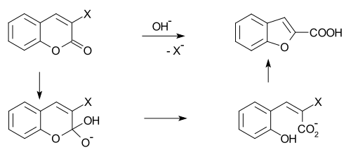 Perkin rearrangement