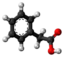 Ball-and-stick model of phenylacetic acid