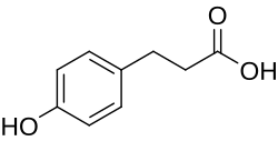 Chemical structure of phloretic acid