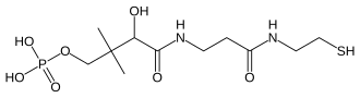 Skeletal formula of