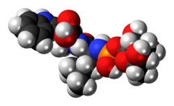 Space-filling model of the phosphoramidon molecule