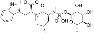 Skeletal formula of phosphoramidon