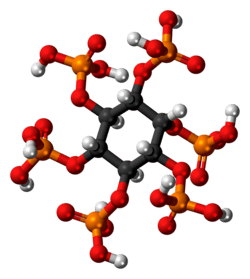 Ball-and-stick model of phytic acid