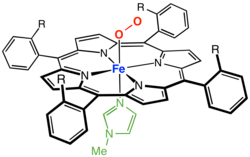 A picket-fence porphyrin complex of Fe, with axial coordination sites occupied by methylimidazole (green) and dioxygen (R = amide groups).[6]