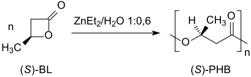 Ringöffnende Polymerisation von (S)-β-BL