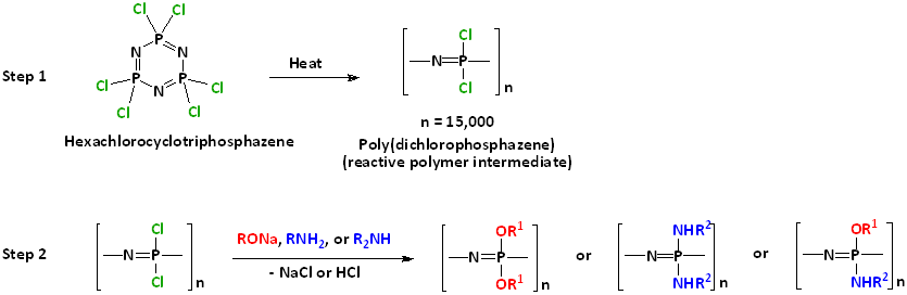 Hexachlorotriphosphazene ROP and subsequent nucleophilic substitution for desired polyphosphazene synthesis