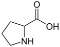 Structural formula of proline