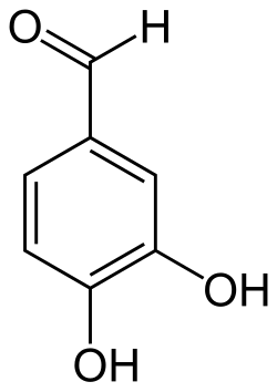 Chemical structure of protocatechuic aldehyde