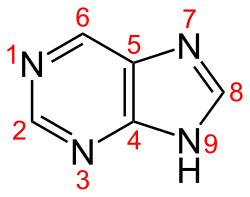 Skeletal formula with numbering convention