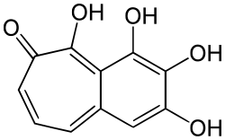 Chemical structure of purpurogallin