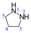 Structural formula of pyrazolidine