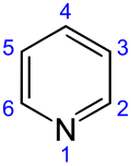Skeletal formula of pyridine, showing the numbering convention