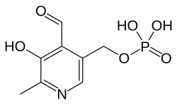 Skeletal formula