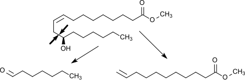 Pyrolyse von Ricinolsäuremethylester