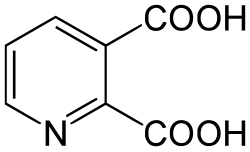 2D representation of the chemical structure of quinolinic acid .