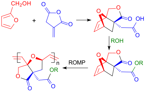 ROMP-Reaktion mit Itaconsäureanhydrid-Cyclopentadien/Furfurylalkohol-Diels-Alder-Addukt