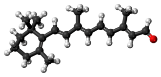 Ball-and-stick model of the retinal molecule