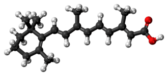 Ball-and-stick model of the retinoic acid molecule