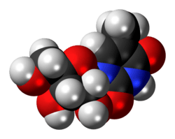Space-filling model of the 5-methyluridine molecule