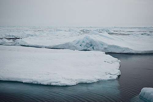 A first-year sea ice ridge in the Central Arctic, photographed by the MOSAiC expedition on 4 July 2020
