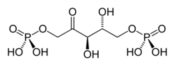 Skeletal formula of RuBP