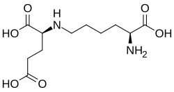 2D representation of the chemical structure of Saccharopine .