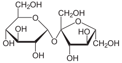 Haworth projection of sucrose