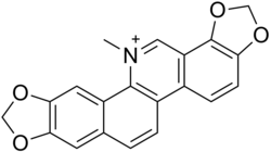 2D representation of the chemical structure of sanguinarine .