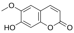 Chemical structure of scopoletin