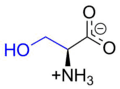 Serine at physiological pH