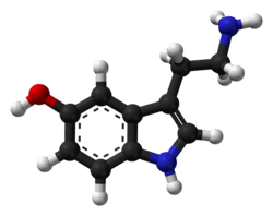 Ball-and-stick model of the serotonin molecule