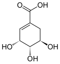 Chemical structure of shikimic acid