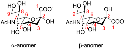 Neuraminic acid anomeric configuration