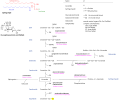 Sphingolipidoses
