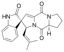 Spirotryprostatin B
