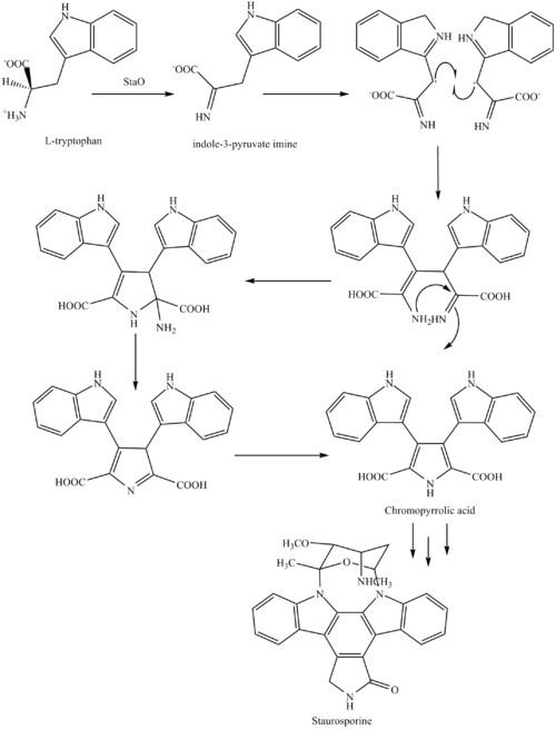 Staurosporine 2