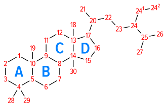 Numbering of the steroid nuclei