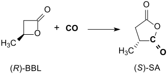 Carbonylierung von β-BL zu 2-Methylsuccinanhydrid