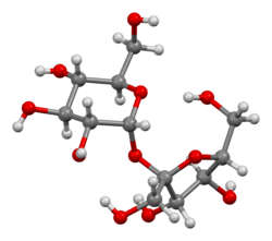 Ball-and-stick model of sucrose