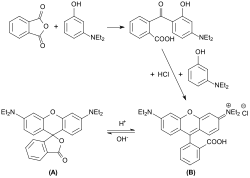 A is the "open" form and B is the "closed" form
