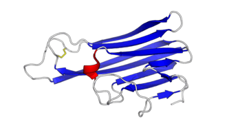 Render of structure of a single TNF monomer.