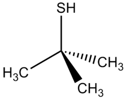 Skeletal formula of tert-butylthiol