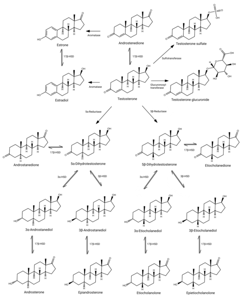 Testosterone structures