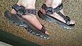Hiking/sport sandals.