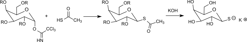 Thiogalactose synthesis