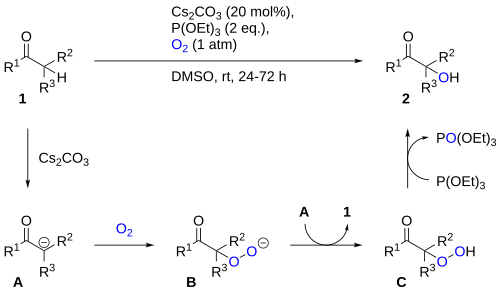 Reaction scheme and proposed mechanism for carbonyl α-hydroxylation using oxygen and triethyl phosphite.