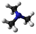 Ball and stick model of trimethylamine