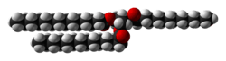 Space-filling model of trimyristin