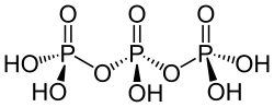 Structure of triphosphoric acid